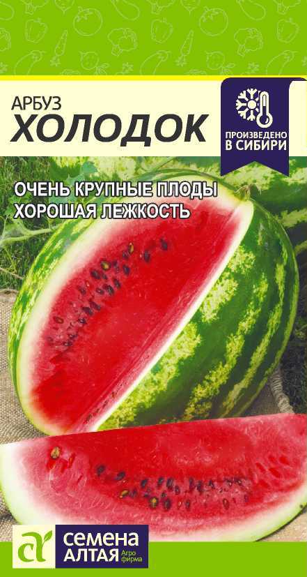 Холодок цп