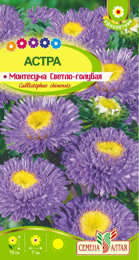Монтесума светло-голубая