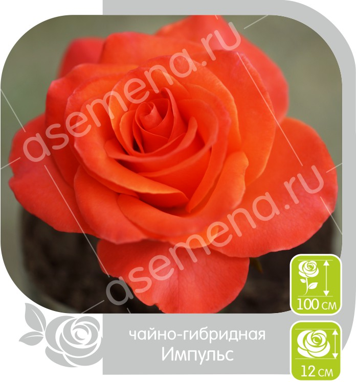Импульс