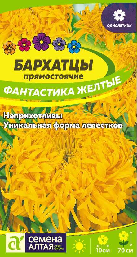 00-00013300
