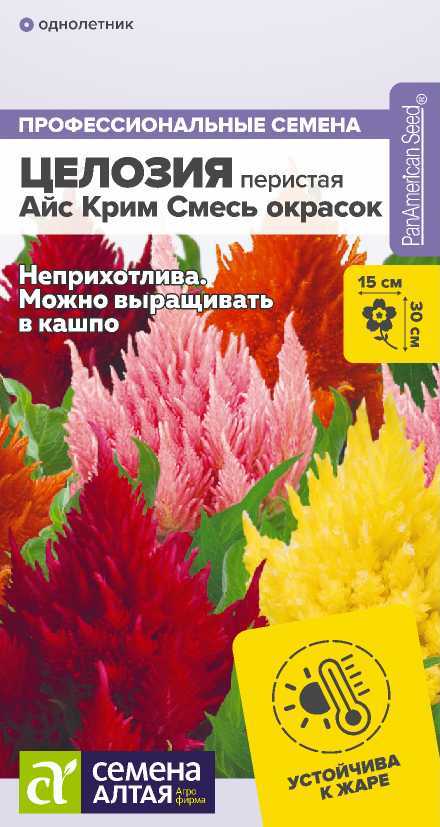 00-00019961