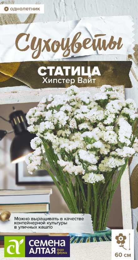 Статица Хипстер Вайт