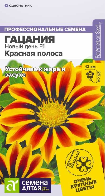 00-00031717