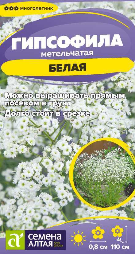 Гипсофила белая
