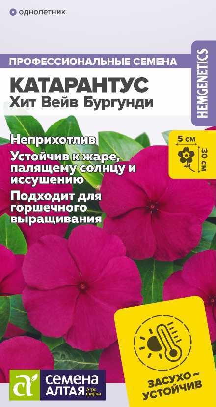 Катарантус Хит Вейв Бургунди