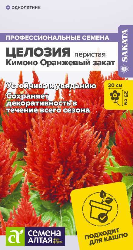 Целозия кимоно оранж.закат