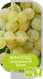 Валек2