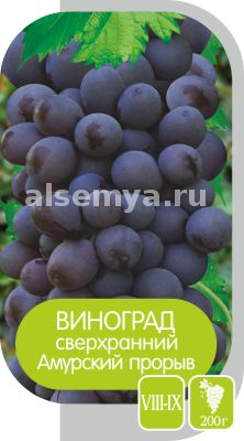 Амурский прорыв2
