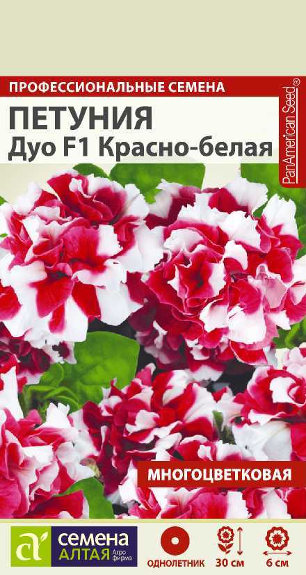 petuniya-krasno-belaya