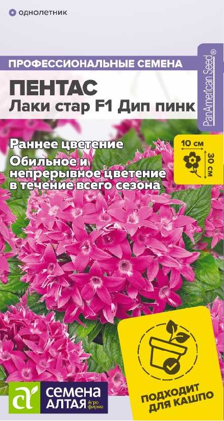 Пентас Дип Пинк