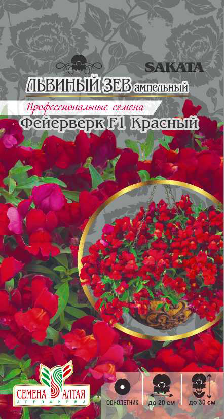Львиный зев фейерверк