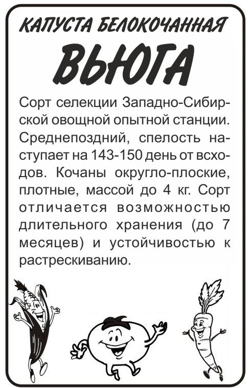 Вьюга бп