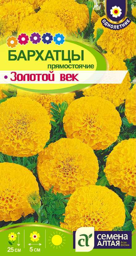 Золотой век цп