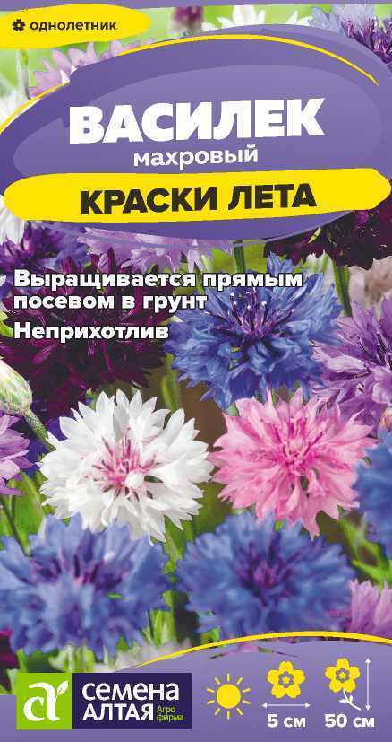 Василек краски лета