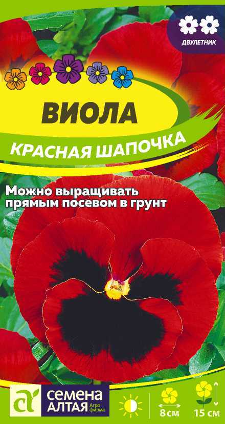 00010042806