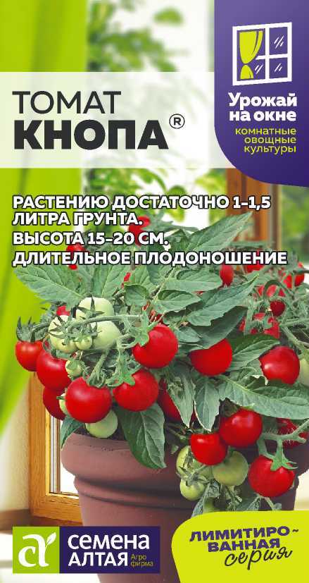 Томат кнопа