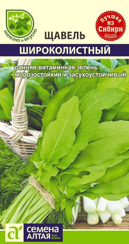 Щавель Широколистный цп