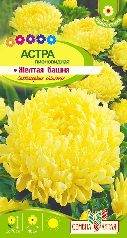 Желтая башня
