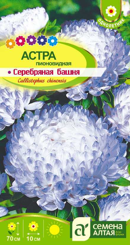 Серебрянная башня цп