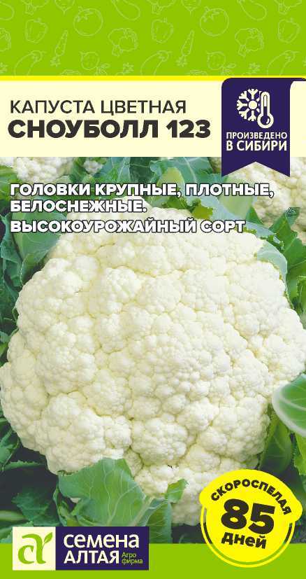 00010016119