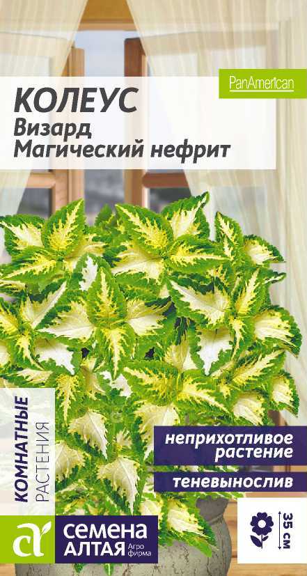 Колеус Магический нефрит