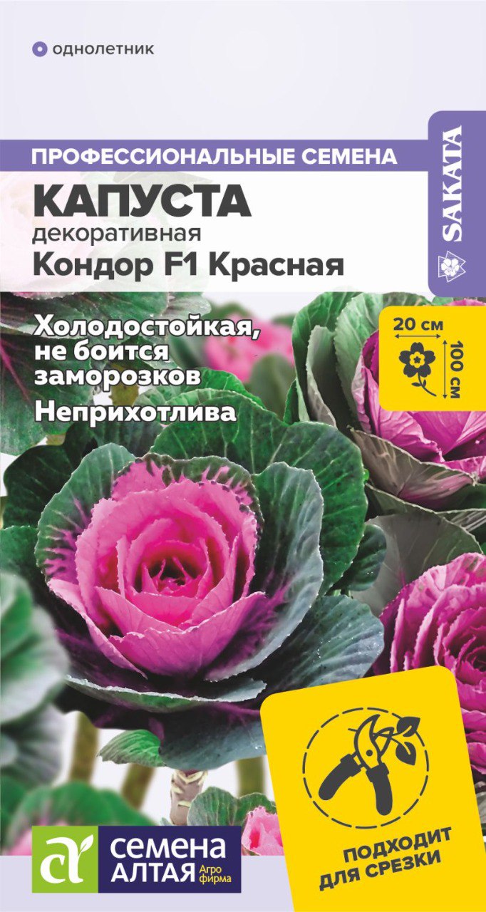 Капуста декор.кондор красная
