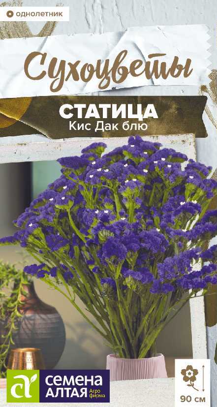 Statica-kiss-dark-blue