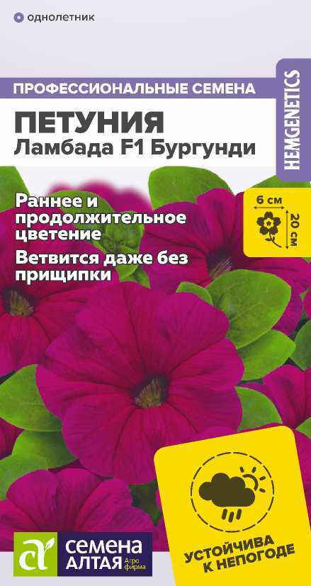 Петуния ламбада бургунди