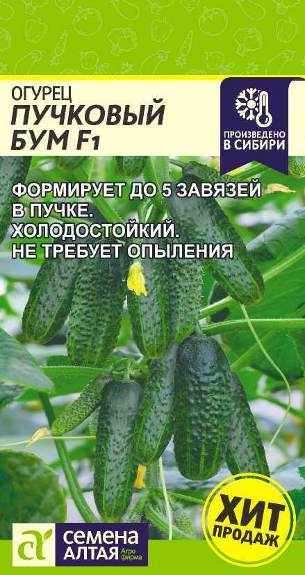 00-00024895