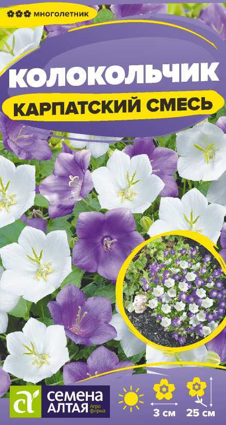 Колокольчик Карпатский