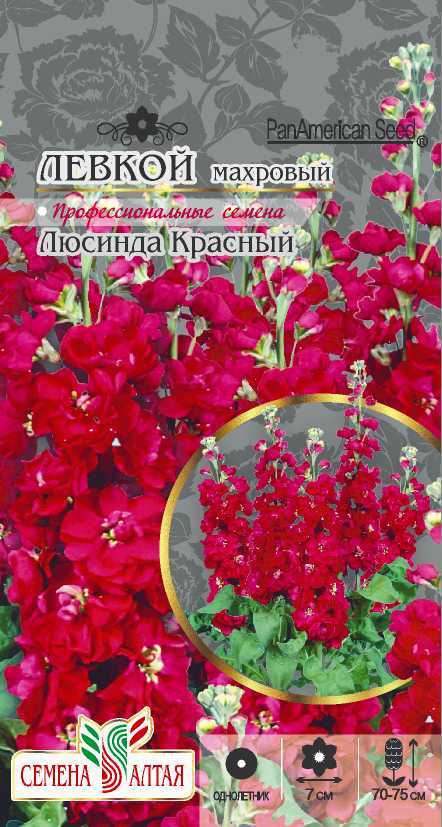 Левкой Люсинда красная