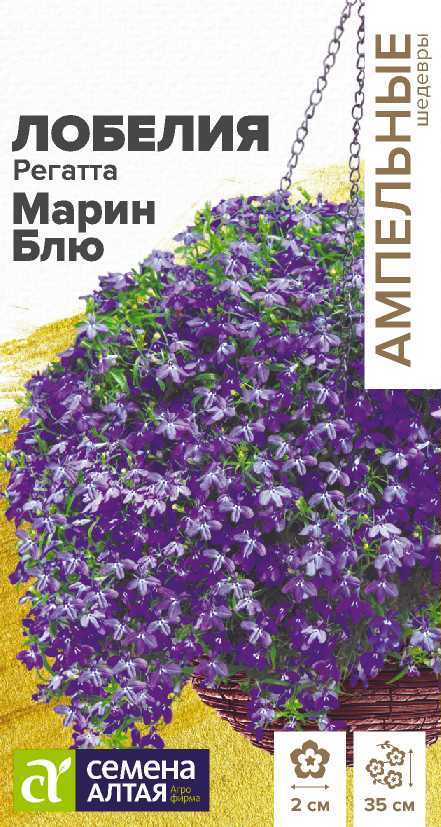 Лобелия марин блю