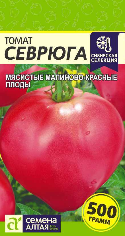 Севрюга