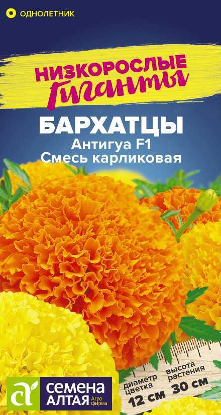 00-00028904