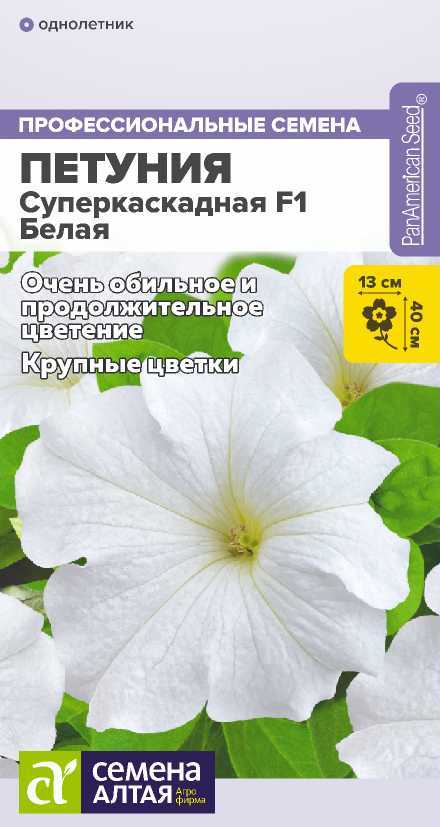 petuniya-superkaskadnaya-belaya