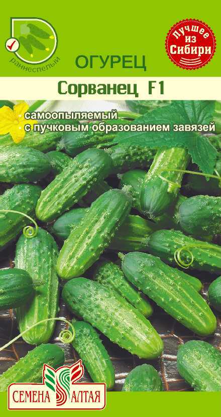 Сорванец