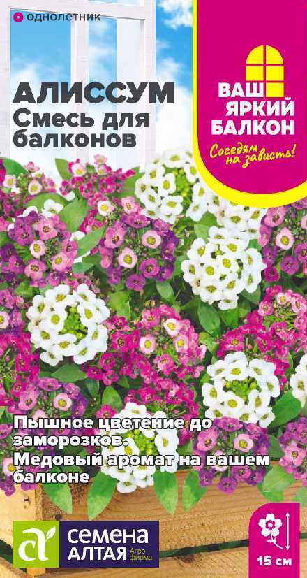 Алиссум Смесь для балконов