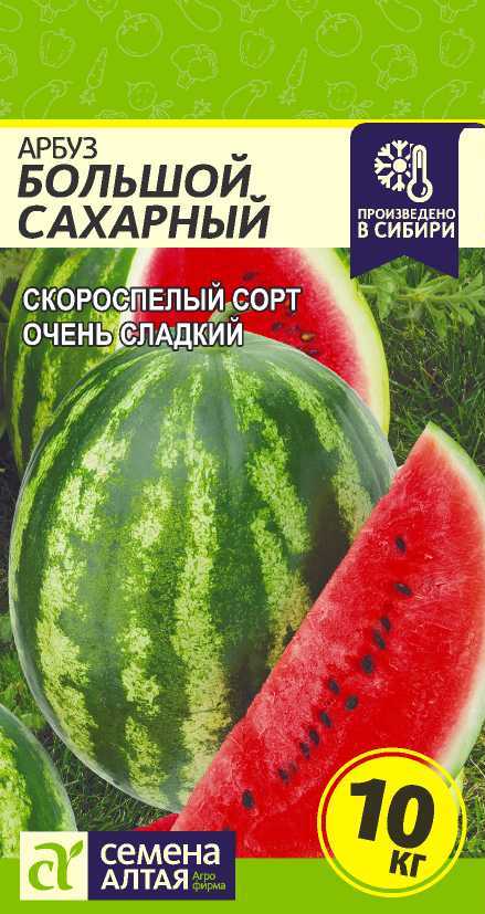 Большой сахарный цп