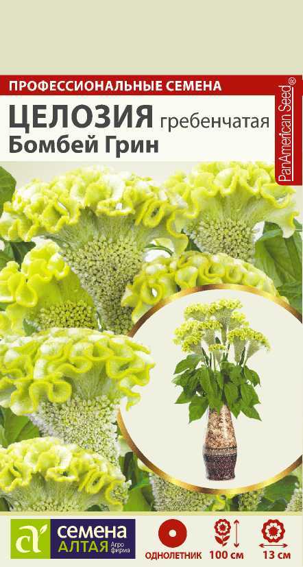 Целозия бомбей грин