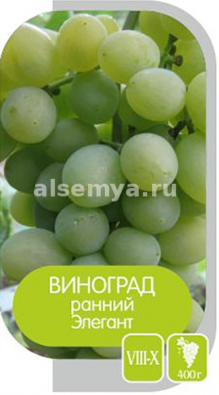 Элегант2