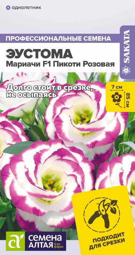 Эустома мариачи пикоти розовая