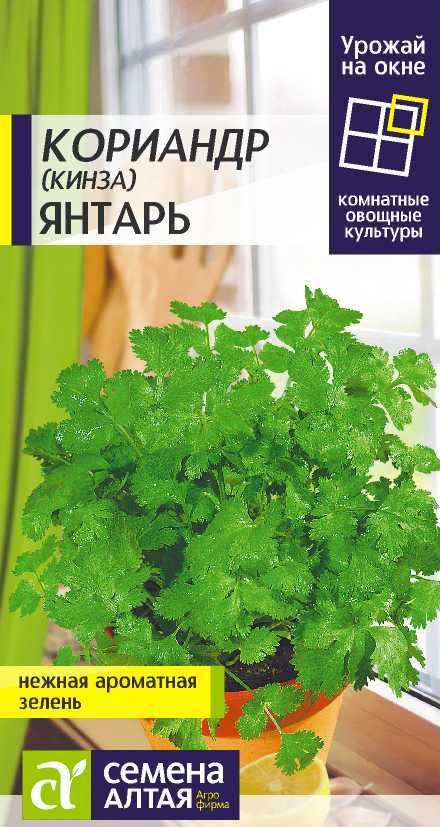 Кориандр Янтарь (Кинза) УнГ