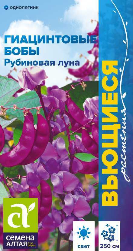 00-00004065