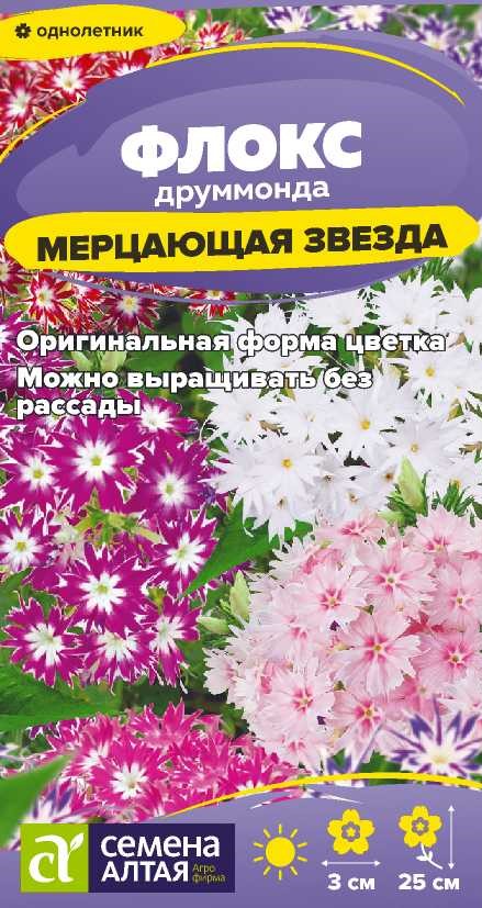 Флокс Мерцающая звезда