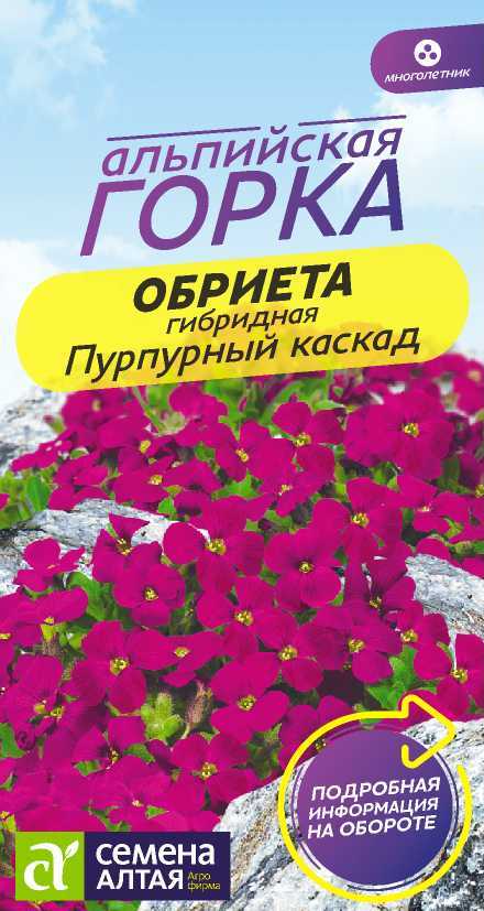 Обриета Пурпурный каскад