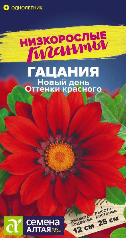 Новый день оттенки красного