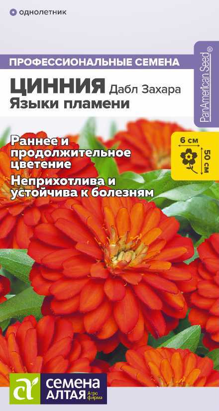 ciniya-yazyik-plameni