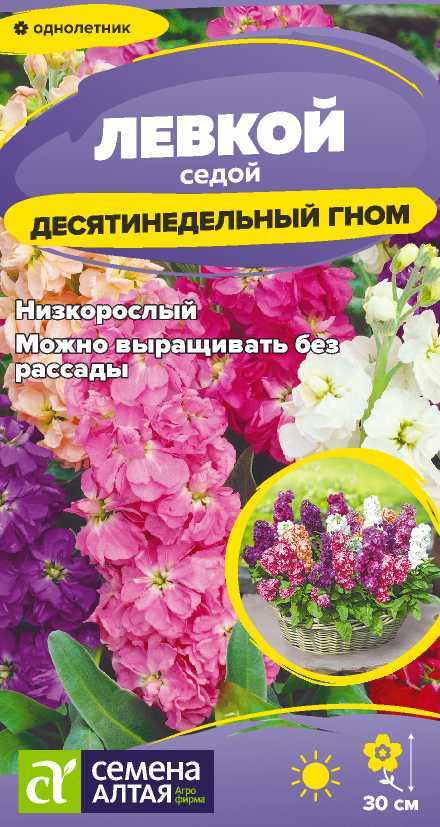 Левкой десятинедельный гном