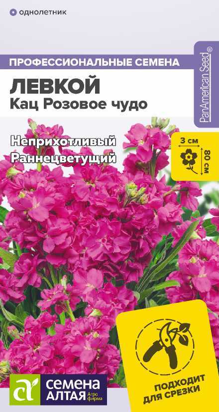 Левкой кац розовое чудо