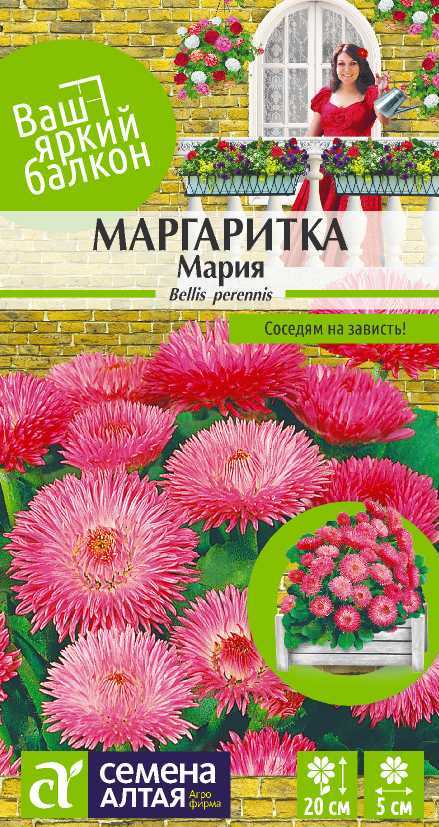 Маргаритка мария цп